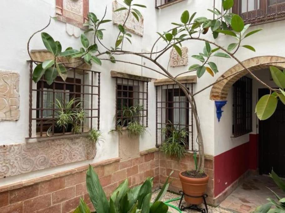 Buhardilla De Wallada Cordoba Córdoba Exterior foto